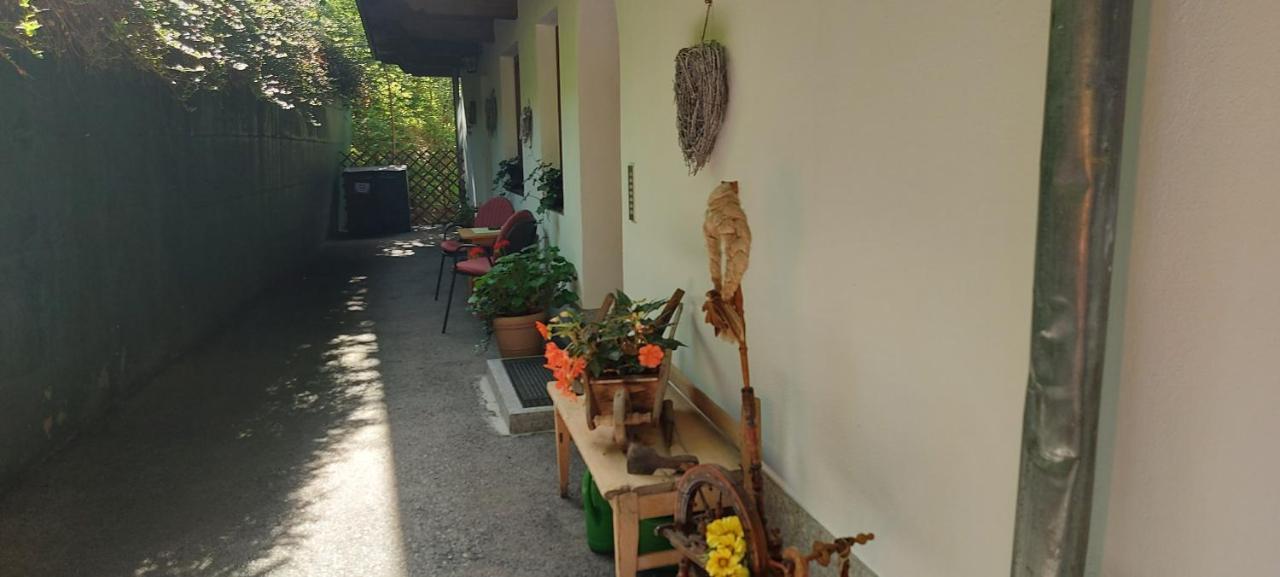 Appartements Zellner Алпбах Екстериор снимка